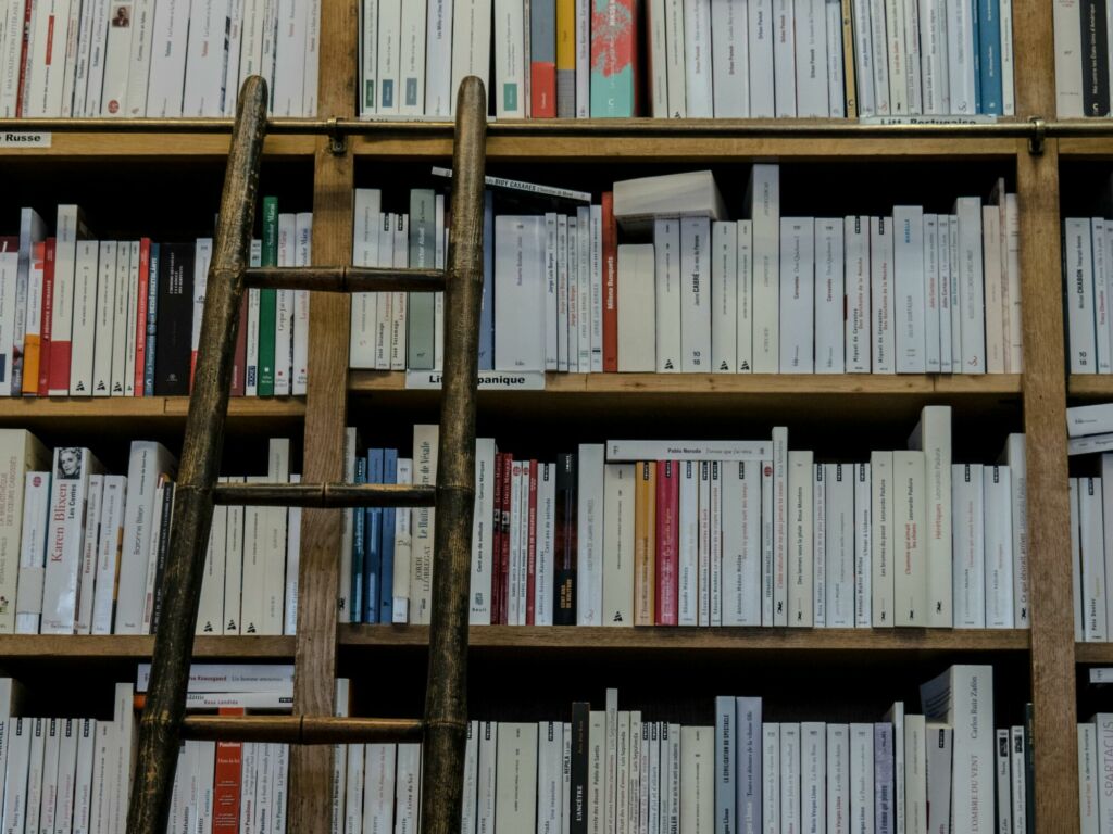 TCC pronto em Administração temas atuais, metodologia aplicada e estrutura acadêmica exigida