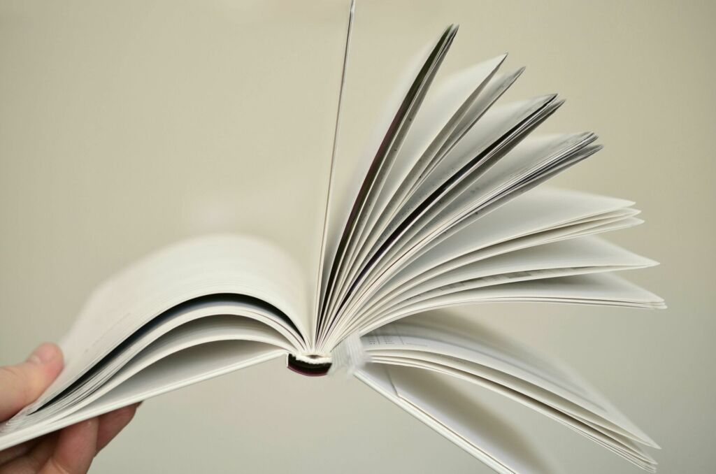 Como estruturar uma Tese de mestrado introdução, metodologia, resultados e normas acadêmicas